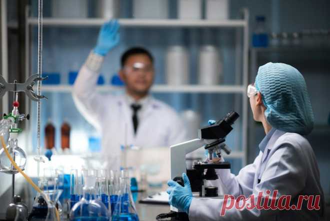 Найден способ «научить» организм очищаться от опасных клеток