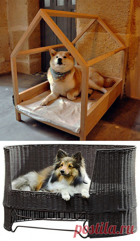 (+1) комм - Необычные лежанки и домики для собак в интерьере | СДЕЛАЙ САМ!