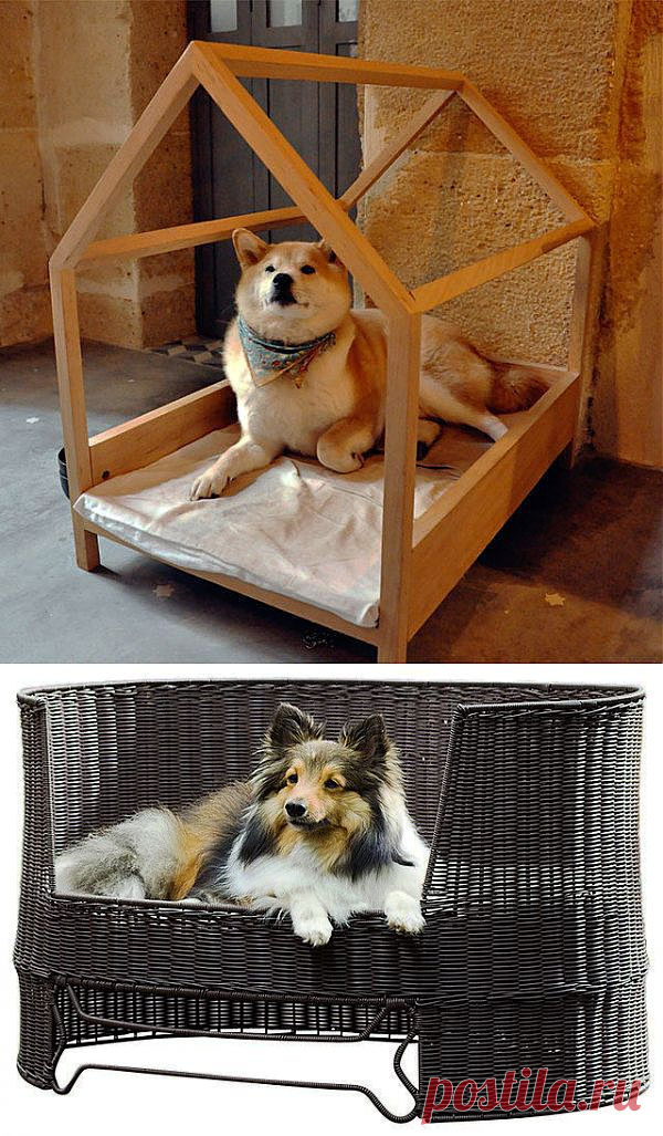 (+1) комм - Необычные лежанки и домики для собак в интерьере | СДЕЛАЙ САМ!
