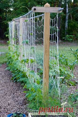 Опоры для растений | 6 соток