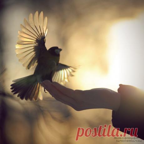 Что ждёт в конце и что – в начале –
Никто не знает наперёд.
Мы ищем повод для печали...
Зачем? А кто нас разберёт!
С каким азартом и отдачей
Мы рассуждаем всякий раз
О том, что в жизни нет удачи
Иль что удача – не для нас.
Нам часто кажется, что счастье
Плывёт не в руки – мимо рук,
И в том вина судьбы отчасти,
А в основном – ВСЕГО ВОКРУГ!
Что кто-то пьёт нектар чудесный,
А мы – прогорклое вино....
Скажите: мы умеем (честно?!)
Ценить всё то, что нам дано?

Автор: Юлия Вихарева