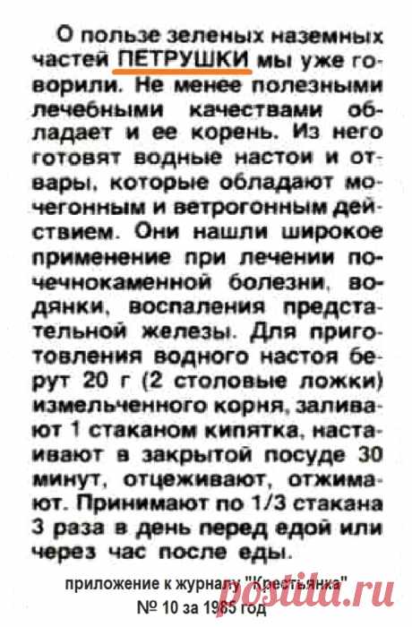 Корень петрушки