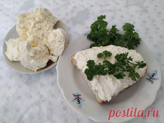 Домашний творожный сыр для бутербродов – пошаговый рецепт приготовления с фото