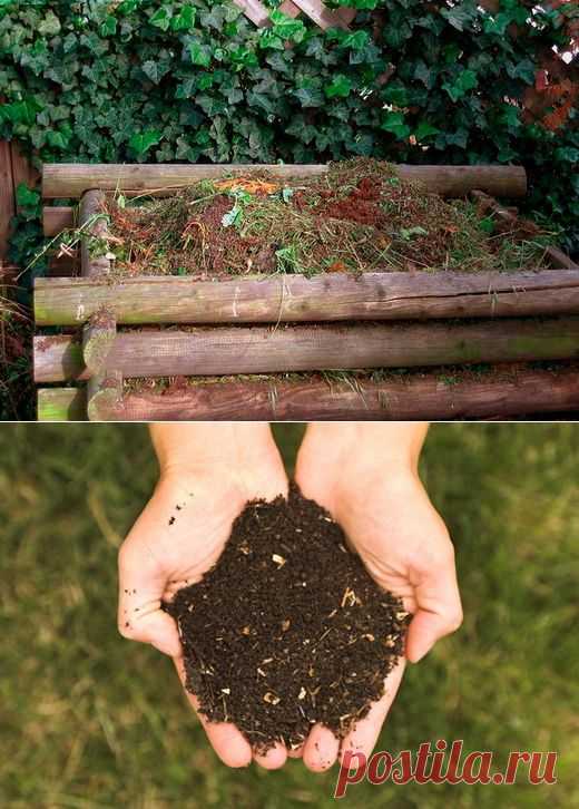 Компост. Приготовление компоста. Что идет в компост. Быстрый компост. - Ботаничка.ru