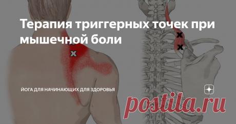 Терапия триггерных точек при мышечной боли Статья автора «Йога для начинающих для здоровья» в Дзене ✍: Терапия триггерных точек – это искусство тонкого прикосновения, мануальная техника, направленная на деактивацию болезненных, словно...
