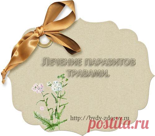 Лечение паразитов травами.