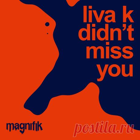 VIP - Liva K - Didn't Miss You | DJ | SoundMasters | Service