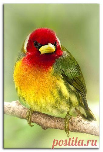 Pinterest: инструмент для поиска и хранения интересных идей