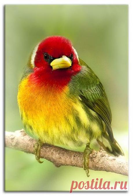 Pinterest: инструмент для поиска и хранения интересных идей