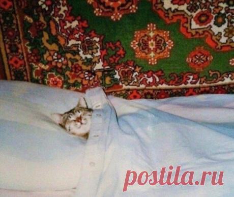 Этна on Twitter “В гостях у бабушки”