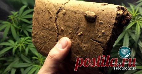 ✅ Гашиш: что это, виды, симптомы употребления, последствия | Лечение зависимости от гашиша