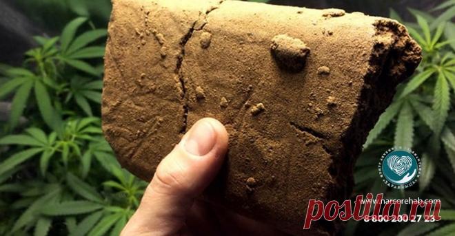 ✅ Гашиш: что это, виды, симптомы употребления, последствия | Лечение зависимости от гашиша