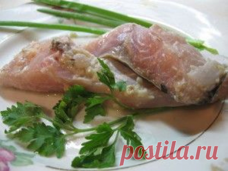 Как засолить рыбу   Засолка рыбы