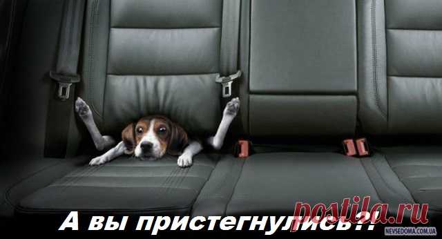 ОПС