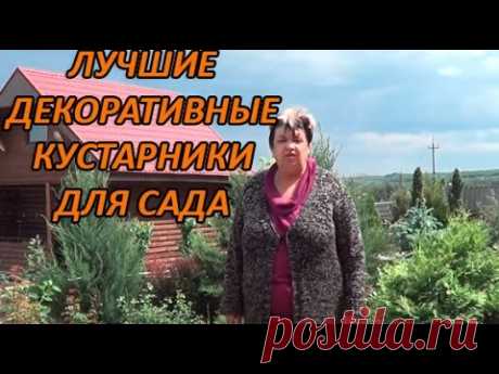 Вейгела. Личная коллекция Самых Красивых Декоративно - Лиственных Кустарников Для Сада - YouTube
