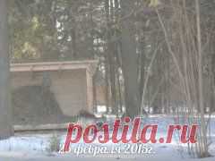 хроника повседневности