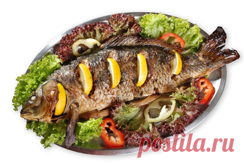 Какая рыба самая полезная: мнение ученых