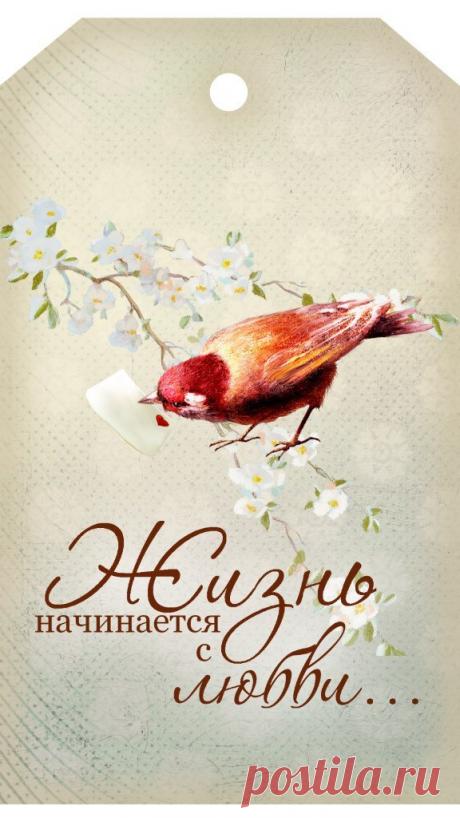 0hIO1oOOS40.jpg (576×1024)