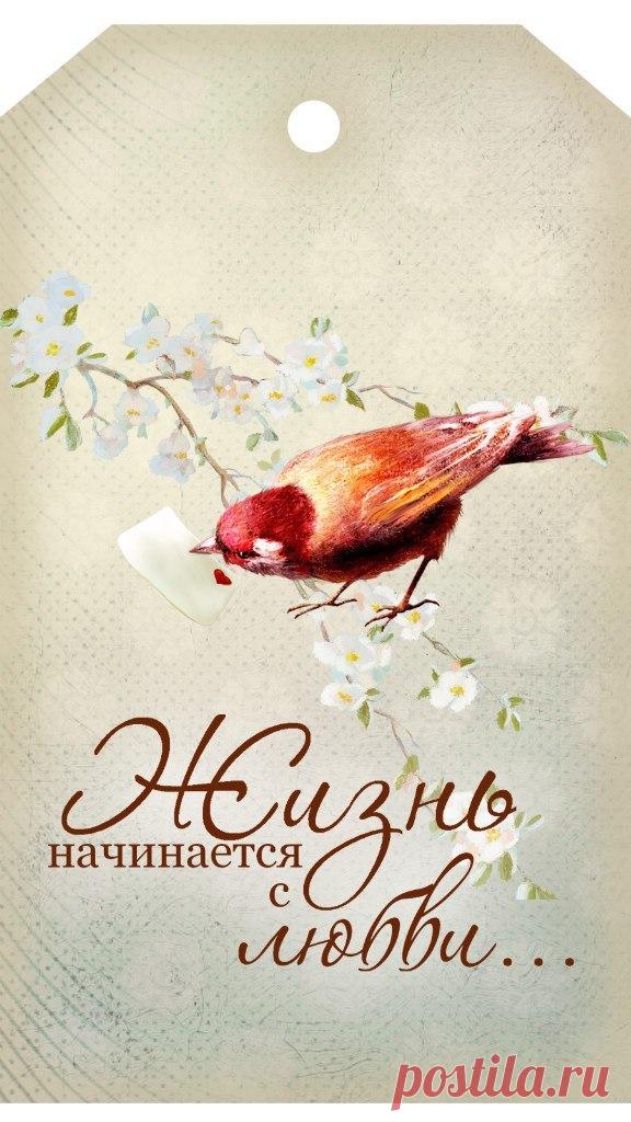 0hIO1oOOS40.jpg (576×1024)