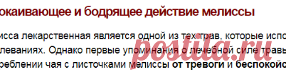 Полезные свойства мелиссы
