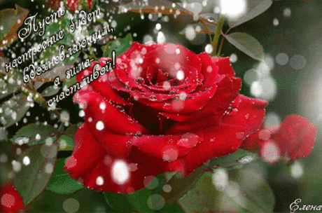 99291495.gif (500×330)