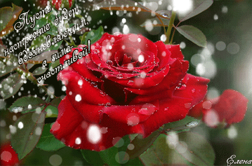 99291495.gif (500×330)