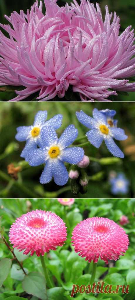 ЯЗЫК И СИМВОЛИКА ЦВЕТОВ. ПРОДОЛЖЕНИЕ.