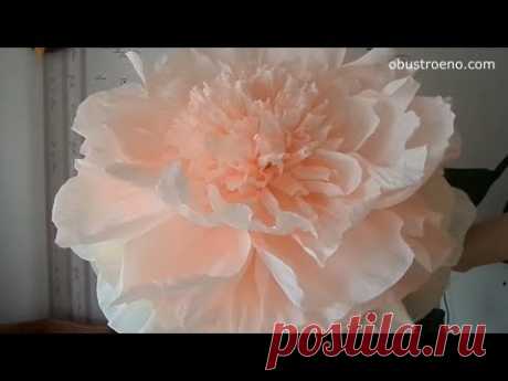 ГИГАНТСКИЕ ростовые цветы. Пион. Часть I / Free Standing Giant Flower | Giant Paper Peony | Part 1