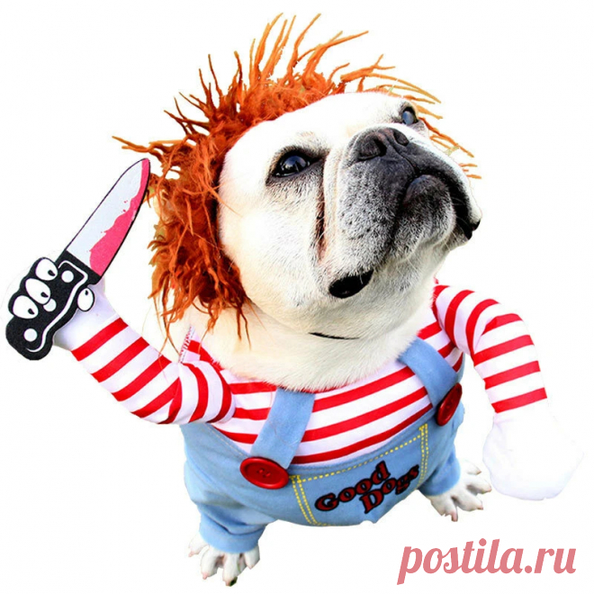 Halloween Pet Dog Clothes Dogs Holding a Knife Halloween Christmas Costume Funny - US$14.99