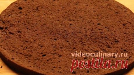 Простой шоколадный бисквит - Рецепт Бабушки Эммы - tatyana_lavrova_1951@mail.ru - Почта Mail.Ru
