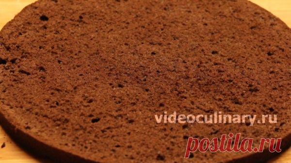 Простой шоколадный бисквит - Рецепт Бабушки Эммы - tatyana_lavrova_1951@mail.ru - Почта Mail.Ru