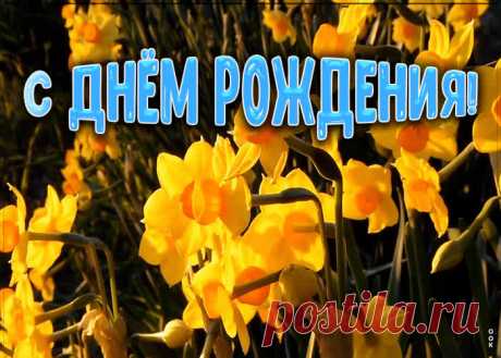 Поздравление женщине с нарциссами - приятное и искреннее поздравление онлайн. Поздравление женщине с нарциссами, скачать и отправить бесплатно.