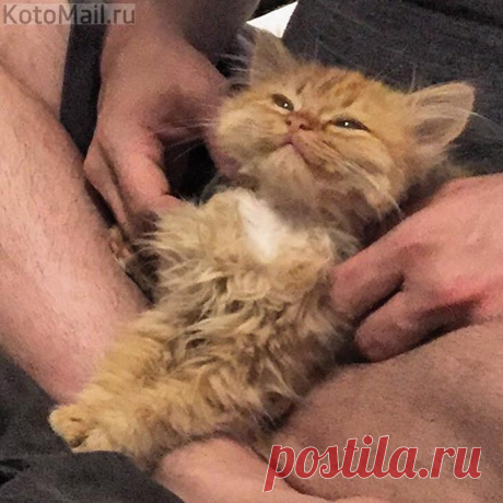 Ах, какое блаженство...