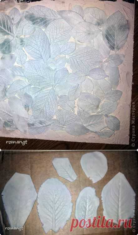 Как сделать силиконовые Молды в домашних условиях за 20 минут | Страна Мастеров