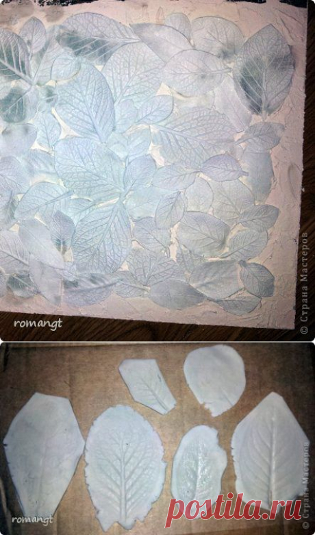 Как сделать силиконовые Молды в домашних условиях за 20 минут | Страна Мастеров