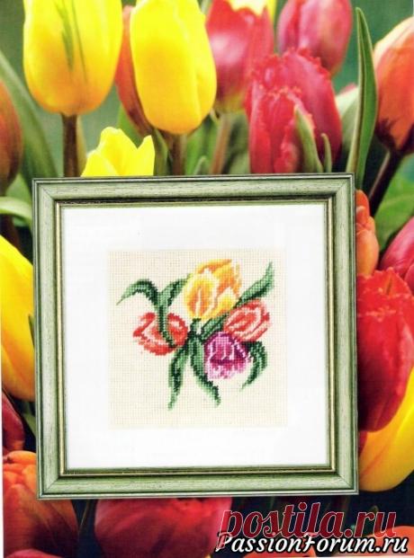 "Kreuzstich" - вышивка крестом - запись пользователя verav (Вера) в сообществе Вышивка в категории Вышивка крестом