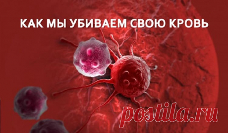 Как мы убиваем свою кровь Многие системы нашего организма еще не изучены. Ученые еще до конца не разобрались, как в нашем организме синтезируется кровь. Кровь — носительница жизни.