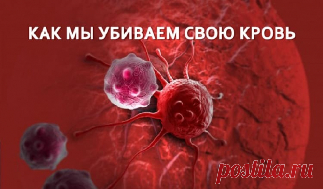 Как мы убиваем свою кровь Многие системы нашего организма еще не изучены. Ученые еще до конца не разобрались, как в нашем организме синтезируется кровь. Кровь — носительница жизни.