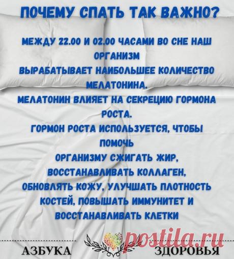 Хочешь быть здоровым - не нарушай график сна!