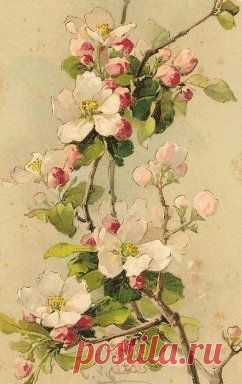 (300) Vintage Roses | Floral Artwork