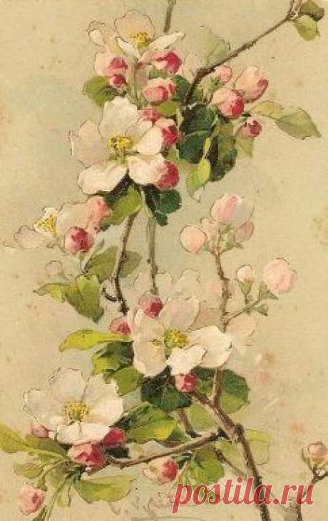 (300) Vintage Roses | Floral Artwork