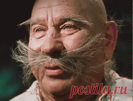 «#Усы» — карточка пользователя detkasalfetka в Яндекс.Коллекциях