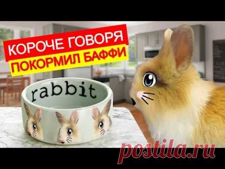 УТРО КРОЛИКА БАФФИ. КОТ МАЛЫШ И КОШЕЧКА МУРКА смеялись. короче говоря покормил Баффи