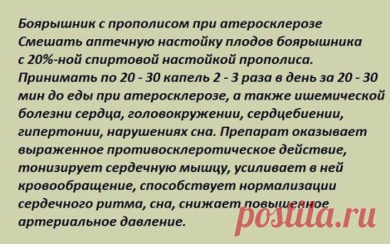 Боярышник с прополисом при атеросклерозе
