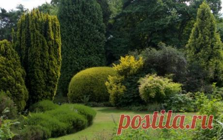 Оформление сада с акцентом на деревья, кустарники и хвойные