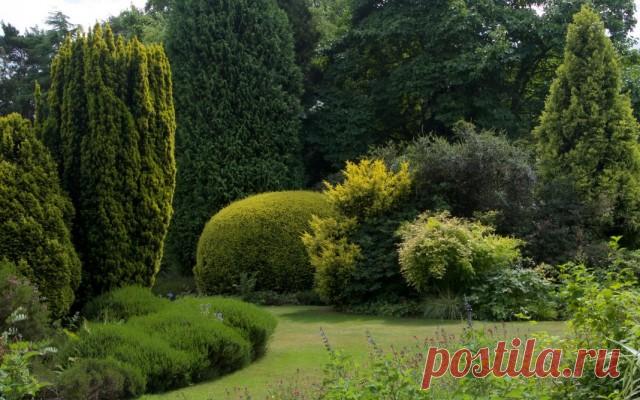 Оформление сада с акцентом на деревья, кустарники и хвойные