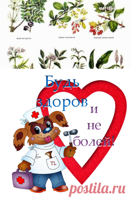 1001 полезный совет: Успокаивающие нервы травы