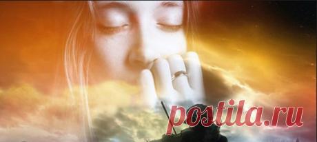 ШКОЛА ПРОЦЕССУАЛЬНО- ПРАВОВОГО КАРАТЭ.