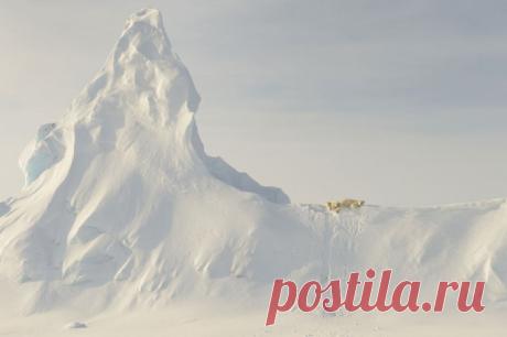 12 фотографий победителей конкурса National Geographic Travel 2016 года