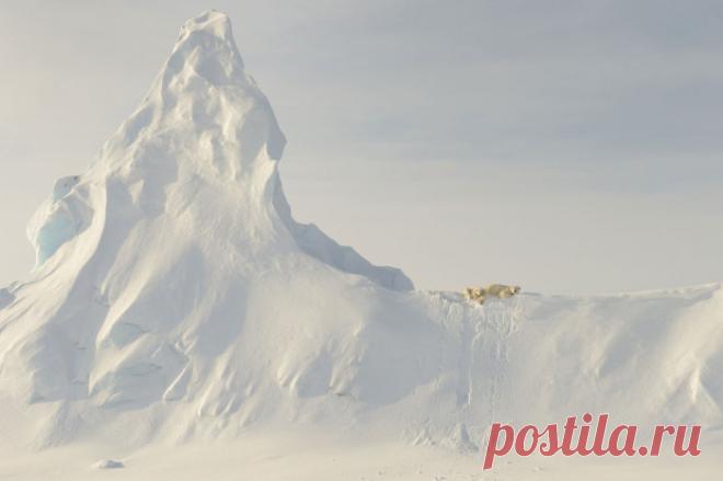 12 фотографий победителей конкурса National Geographic Travel 2016 года